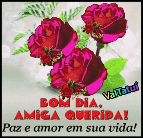 Bom Dia Amiga Good Day GIF