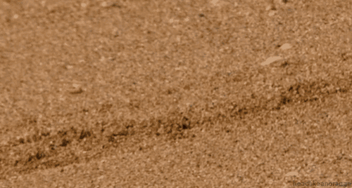 a small animal is crawling on a sandy surface with the words headlikeanorange in the lower right corner