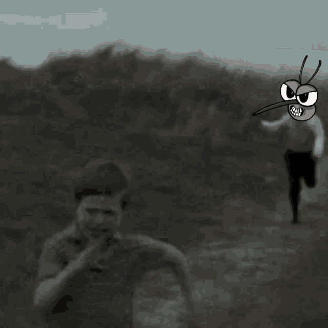 a cartoon of a mosquito with a long nose
