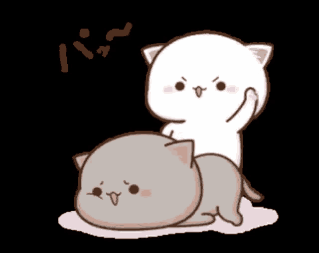 a white cat is giving a gray cat a massage .