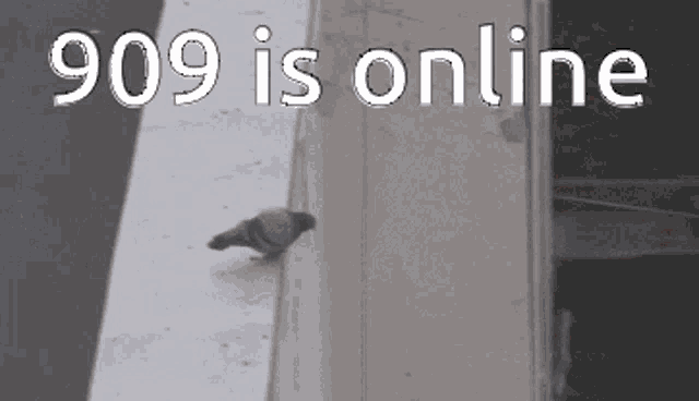 909 Is GIF - 909 Is Online GIFs