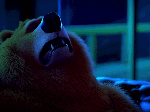 a close up of a bear 's face with a blue background
