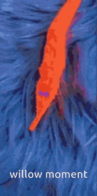 a poster with a worm and the words willow moment on it