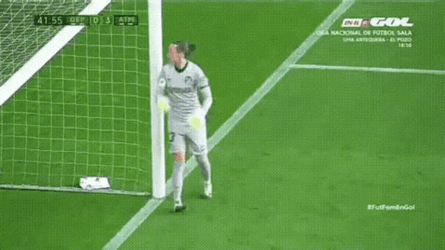 a soccer goalie with the number 13 on his back