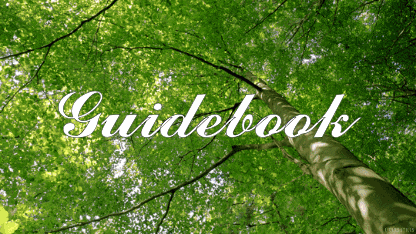 looking up at a tree with the word guidebook written on it