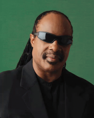Deal With It GIF - Stevie Wonder Deal With It Braille GIFs