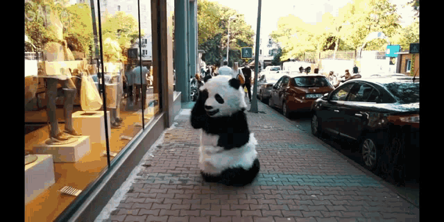 Panda Yatıp Yuvarlanma GIF - Panda Yatıp Yuvarlanma GIFs