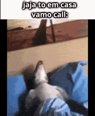 a dog is laying on a bed with a caption that says jaja to em casa vamo call