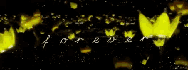 a black background with yellow butterflies flying in the air and the words `` forever '' written on it .
