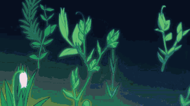 a drawing of a plant with green leaves on a dark background