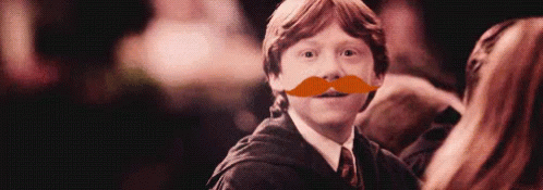 Harry Potter GIF - Harry Potter Ron GIFs