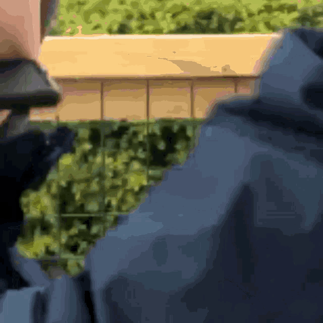 a blurry picture of a person holding a cell phone in front of a fence