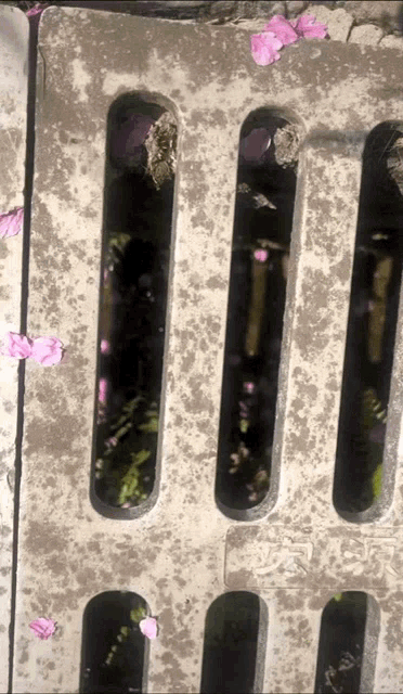 a dirty drain with pink flowers on it