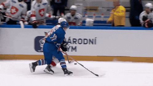 a hockey game is being played in front of an ad for narodni gym