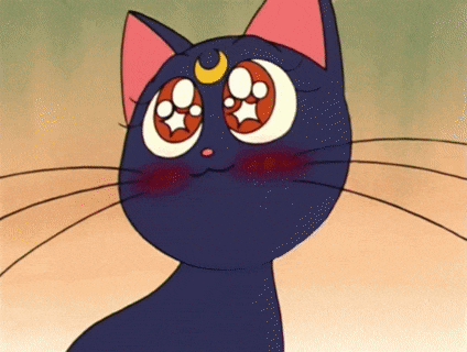 a black cat with a crescent moon on its face