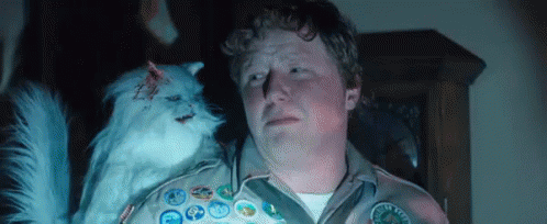 Scared GIF - Scouts Guide Scared Cat GIFs