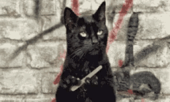 a black cat is sitting in front of a brick wall holding a nail polisher .