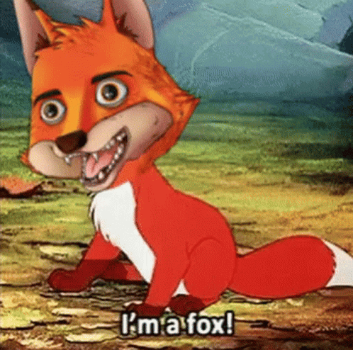 Funky Foxes GIF - Funky Foxes Fox GIFs