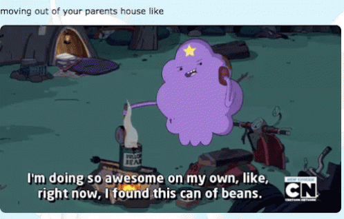 Moving GIF - Adventure Time Living On My Own Cooking GIFs