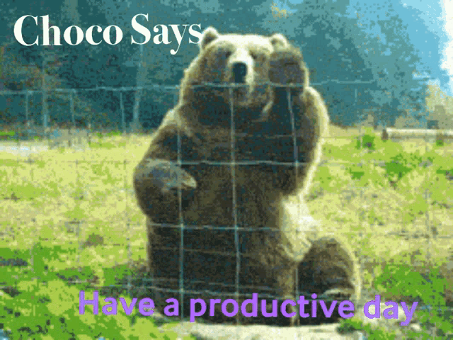 Choco Choco Says GIF - Choco Choco Says Have A Productive Day GIFs