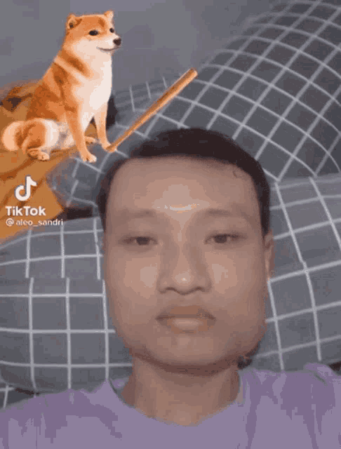 a man laying on a bed with a dog and a bat in the background