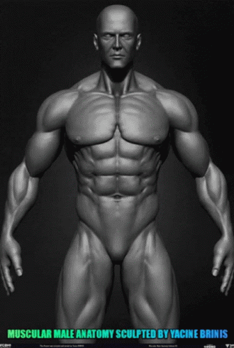 Muscular Man GIF - Muscular Man Basemesh GIFs