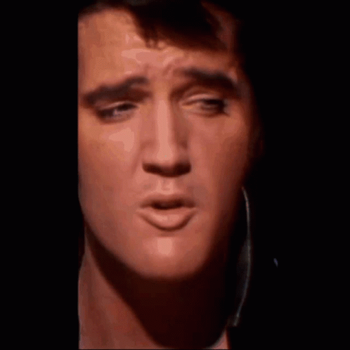 Elvis Elvis Presley GIF - Elvis Elvis Presley Elvis Leather GIFs