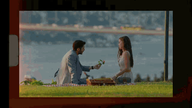 a man is giving a flower to a woman sitting on a blanket