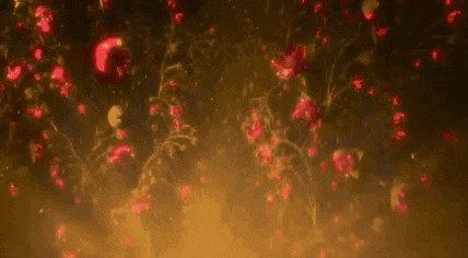 a bunch of red flowers are falling from a tree