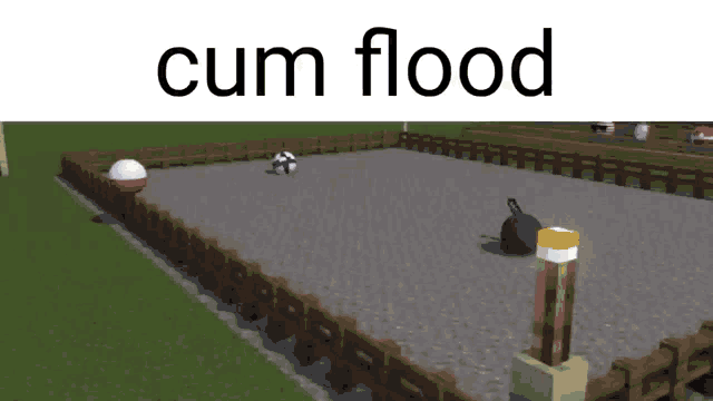 a screenshot of a minecraft game with the words cum flood written above it