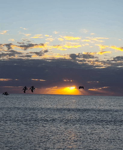 birds flying over the ocean at sunset with the sun shining through the clouds