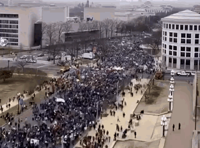 Fdg Protest GIF - Fdg Protest Rally GIFs
