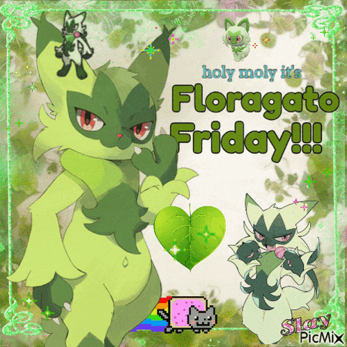 a picture of a cat with the words " holy moly it 's floragato friday "