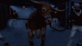 a mascot for the texas longhorns is standing on a football field wearing a cowboy hat .