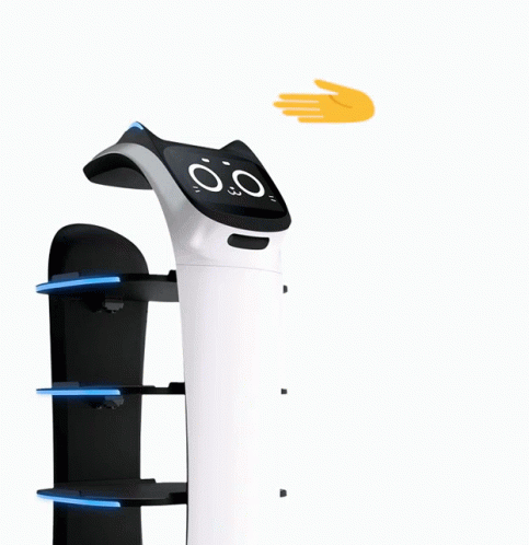 Kerfuś Bella Bot GIF - Kerfuś Bella Bot Robot GIFs