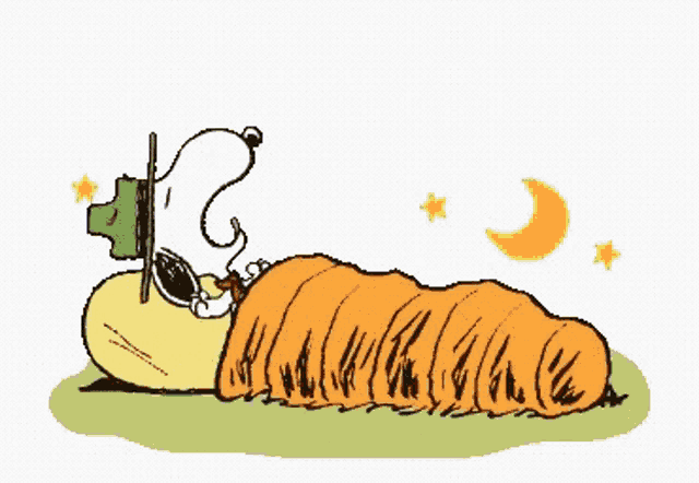 a cartoon of snoopy sleeping in a sleeping bag with the words good night written above him