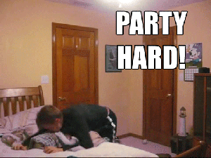 Party Hard GIF - Partyhard Bed Slam GIFs