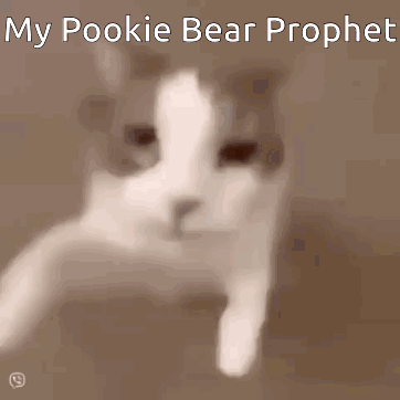 Pookie Bear Prophet Pookie Bear GIF - Pookie Bear Prophet Pookie Bear Cat Kiss GIFs