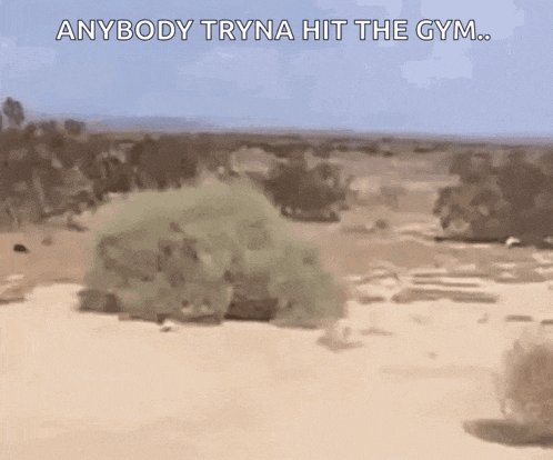 a cartoon of a desert with the words `` anybody tryna hit the gym '' written on it .
