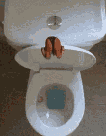 a person 's feet stick out of a toilet with the lid open