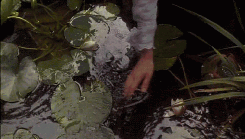 Hand River Water GIF - Hand River Water Relax GIFs