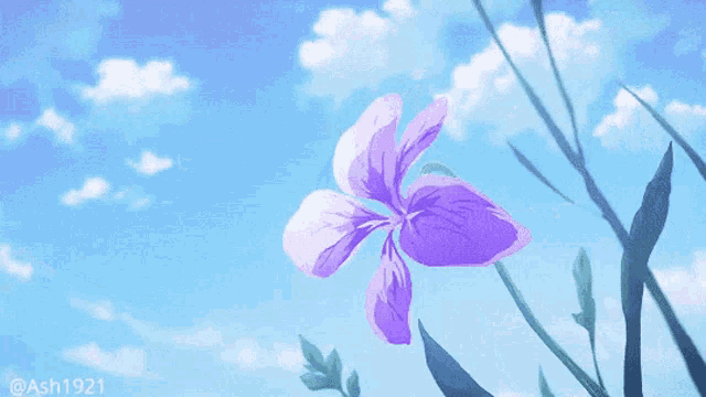 a purple flower against a blue sky with the hashtag ash1921 at the bottom
