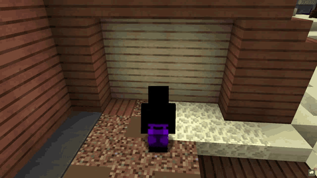 a screenshot of a minecraft game shows a person standing in a room