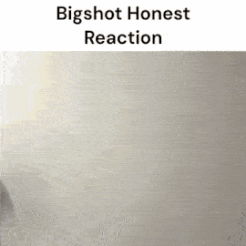Jonah Dole Bigshot GIF - Jonah Dole Bigshot Honest Reaction GIFs