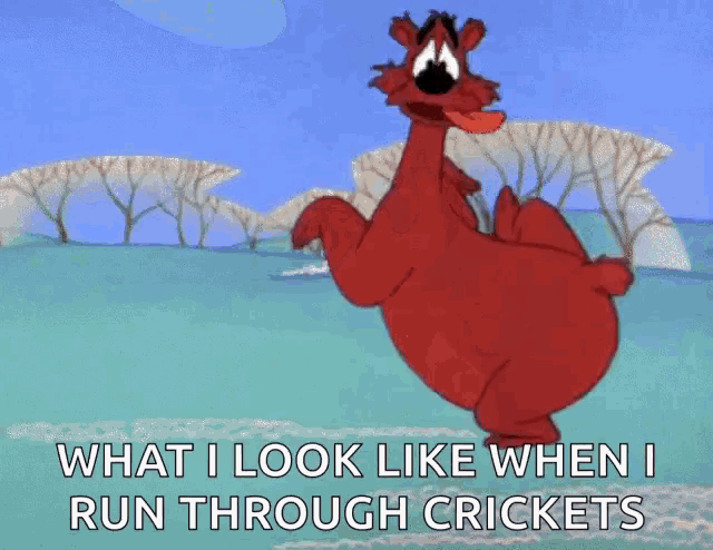 a cartoon bear is running through a snowy field and says what i look like when i run through crickets