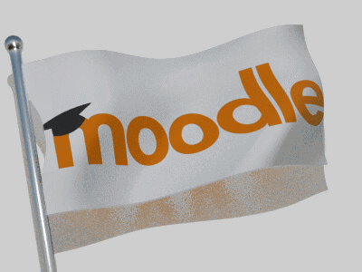 Moodle Moodle Flag GIF - Moodle Moodle Flag Flag GIFs