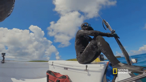 Fist Bump Gordon Goes Spearfishing For Snapper GIF - Fist Bump Gordon Goes Spearfishing For Snapper Lets Do This GIFs