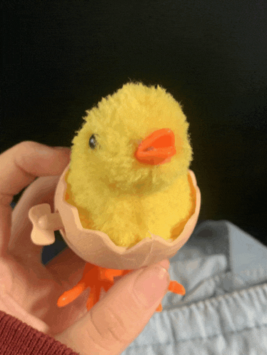 a person is holding a stuffed yellow chick in a plastic egg