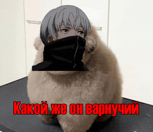 a stuffed animal with a picture of a girl on it and the words какой же он варнучий