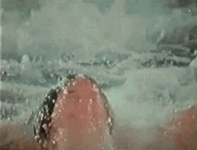 Squirt Hands Up GIF - Squirt Hands Up GIFs